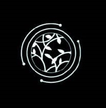 آوینا کرم avinacream