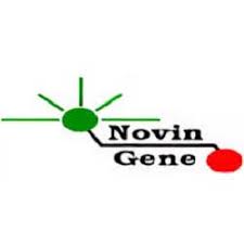 نوین ژن 